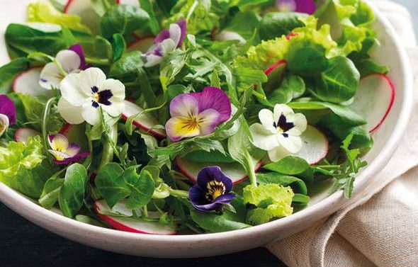 INSALATA DI PRIMAVERA DISINTOSSICANTE